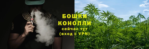 соль ск Арсеньев