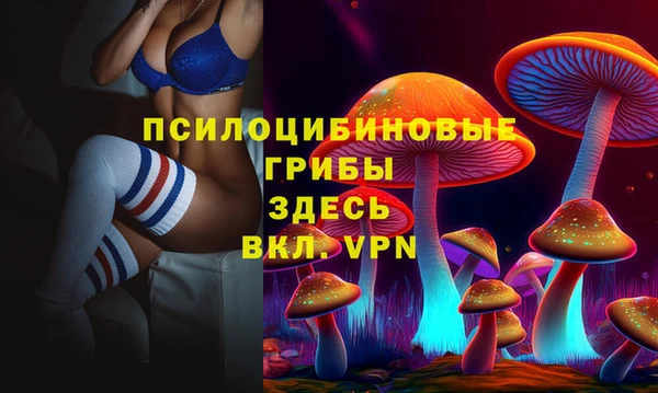 ешки Аркадак