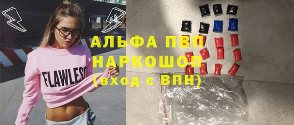 ешки Аркадак