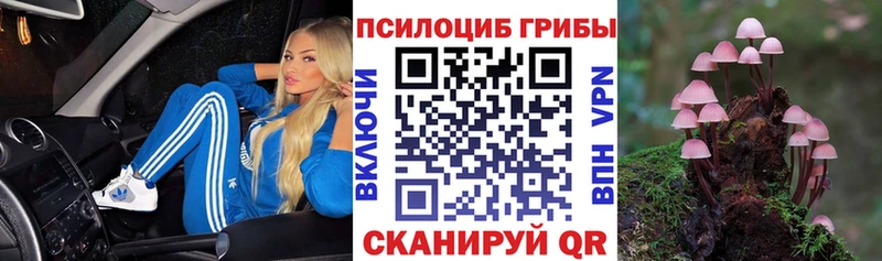 закладка  Удомля  shop Telegram  Псилоцибиновые грибы MAGIC MUSHROOMS 