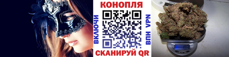 Шишки марихуана сатива  Удомля 